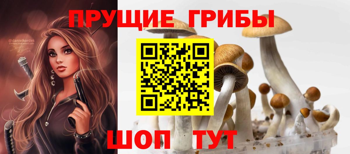 Псилоцибиновые грибы прущие грибы Черногорск